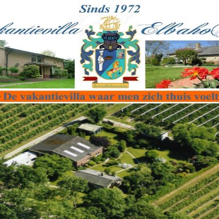 B&B Elbahof, Goed En Goedkoop! Hem 外观 照片