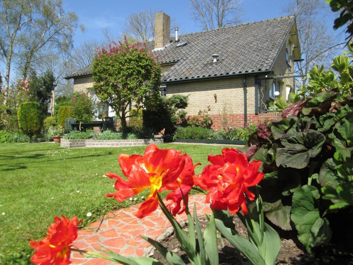 B&B Elbahof, Goed En Goedkoop! Hem 外观 照片