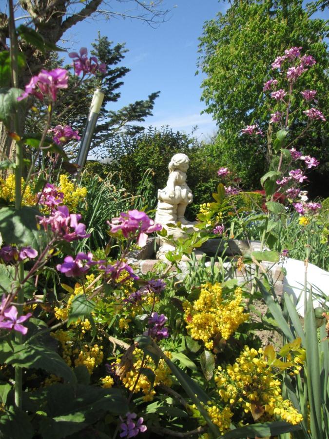 B&B Elbahof, Goed En Goedkoop! Hem 外观 照片