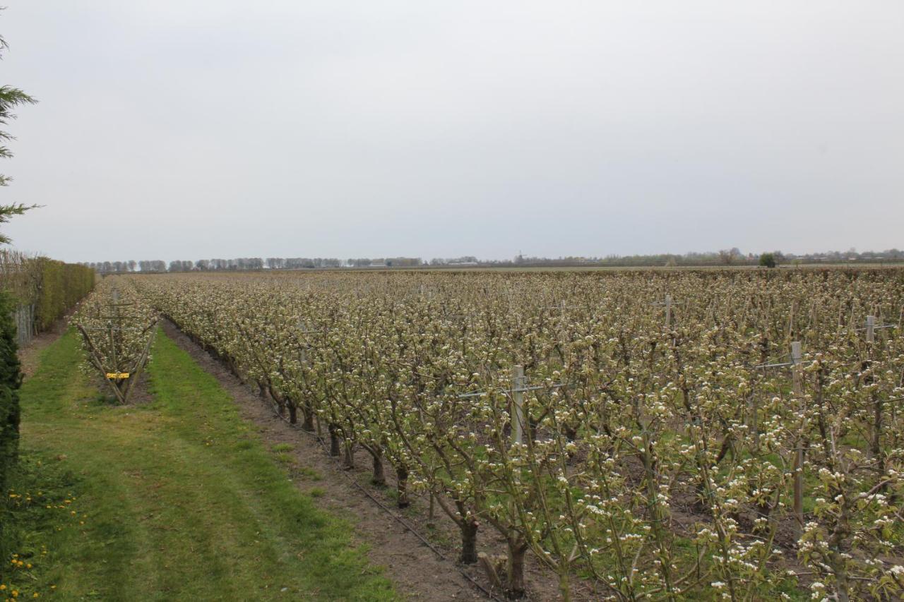 B&B Elbahof, Goed En Goedkoop! Hem 外观 照片