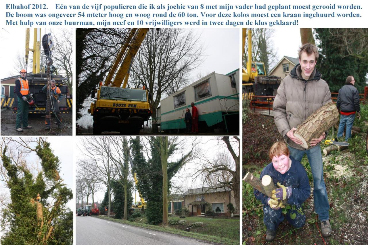 B&B Elbahof, Goed En Goedkoop! Hem 外观 照片
